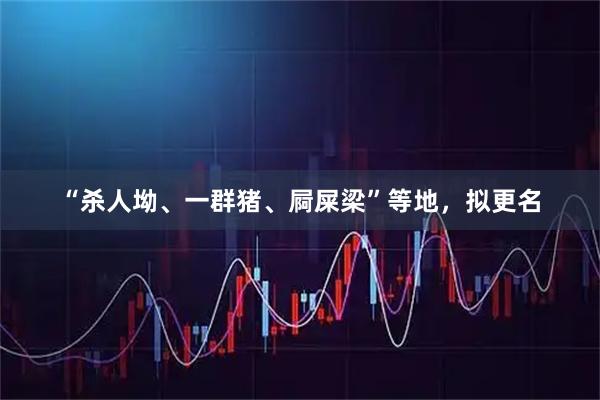“杀人坳、一群猪、屙屎梁”等地，拟更名