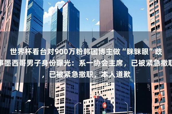 世界杯看台对900万粉韩国博主做“眯眯眼”歧视动作,涉事墨西哥男子身份曝光:系一协会主席,已被紧急撤职,本人道歉