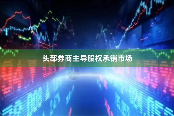 头部券商主导股权承销市场