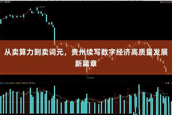 从卖算力到卖词元，贵州续写数字经济高质量发展新篇章
